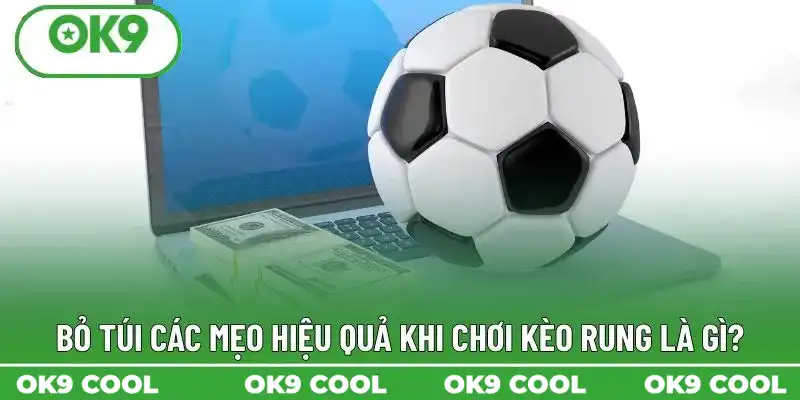 Bỏ túi các mẹo hiệu quả khi chơi kèo rung là gì? Bỏ túi các mẹo hiệu quả khi chơi kèo rung là gì?