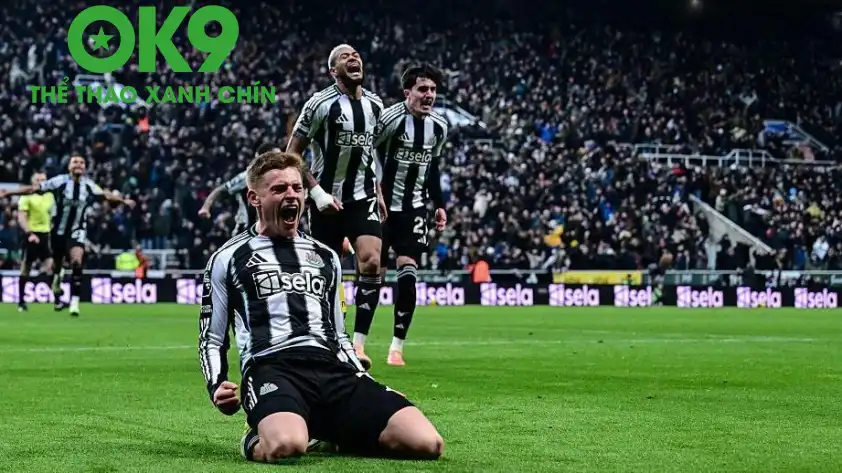 Newcastle được dự đoán sẽ chiến thắng khi tiếp đón PSV Newcastle được dự đoán sẽ chiến thắng khi tiếp đón PSV